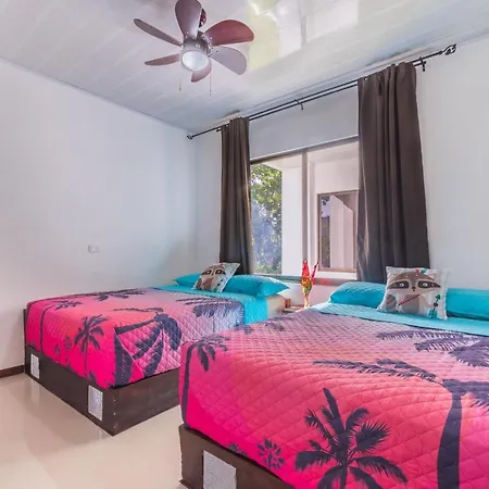 Villas Mapache Del Caribe Puerto Viejo de Talamanca Exterior photo