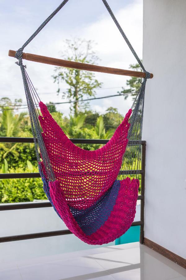 Mapache Del Caribe